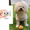 Egg toy for dogs
